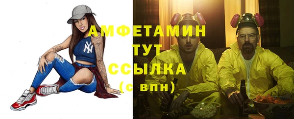 индика Абаза