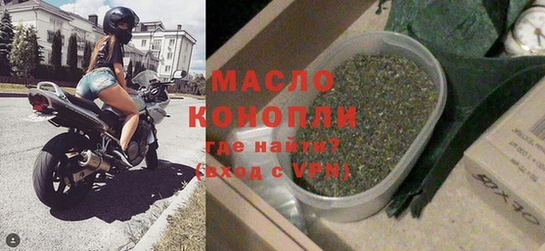 индика Абаза
