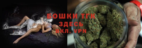 сатива Абинск