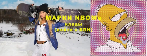 индика Алексин