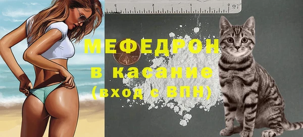 индика Абаза