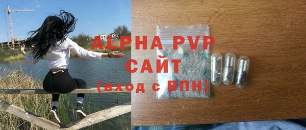 индика Абаза