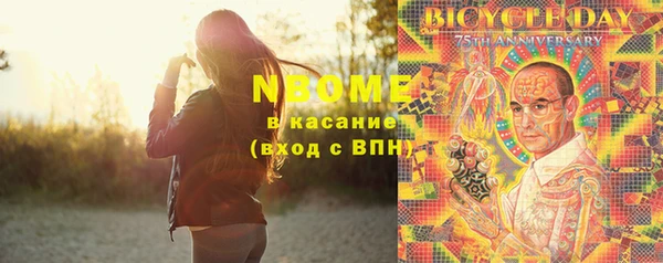 индика Абаза