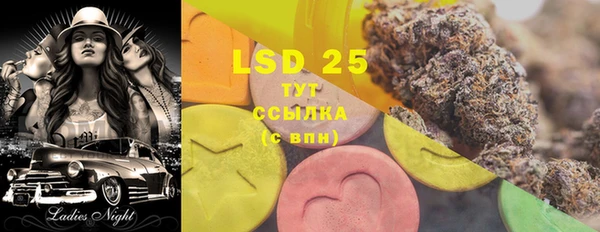 индика Абаза
