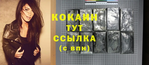 сатива Абинск