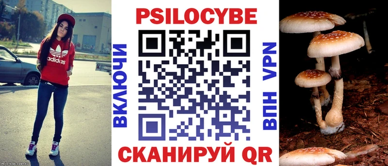 Псилоцибиновые грибы MAGIC MUSHROOMS где купить наркоту Сарапул