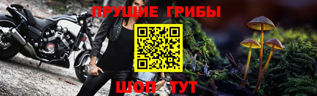 Сарапул  Псилоцибиновые грибы ЛСД  Вход с VPN 