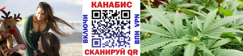 МАРИХУАНА сатива  купить   Сарапул 